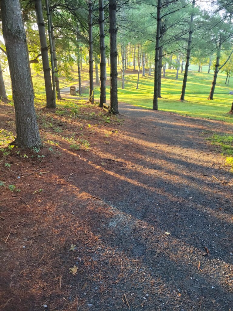 Meandering Trail at STAR Trail - Photo by Stefanie Manuele