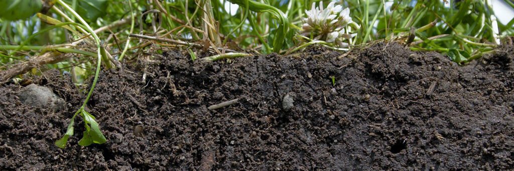 Soil _ Photo courtesy of the USDA
