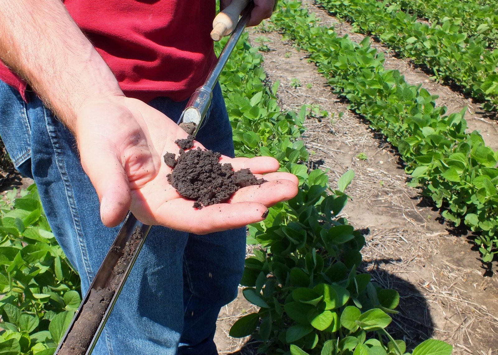 - Organic Soil Management - Photo by USDA NRCS South Dakota, Public domain, via Wikimedia Commons