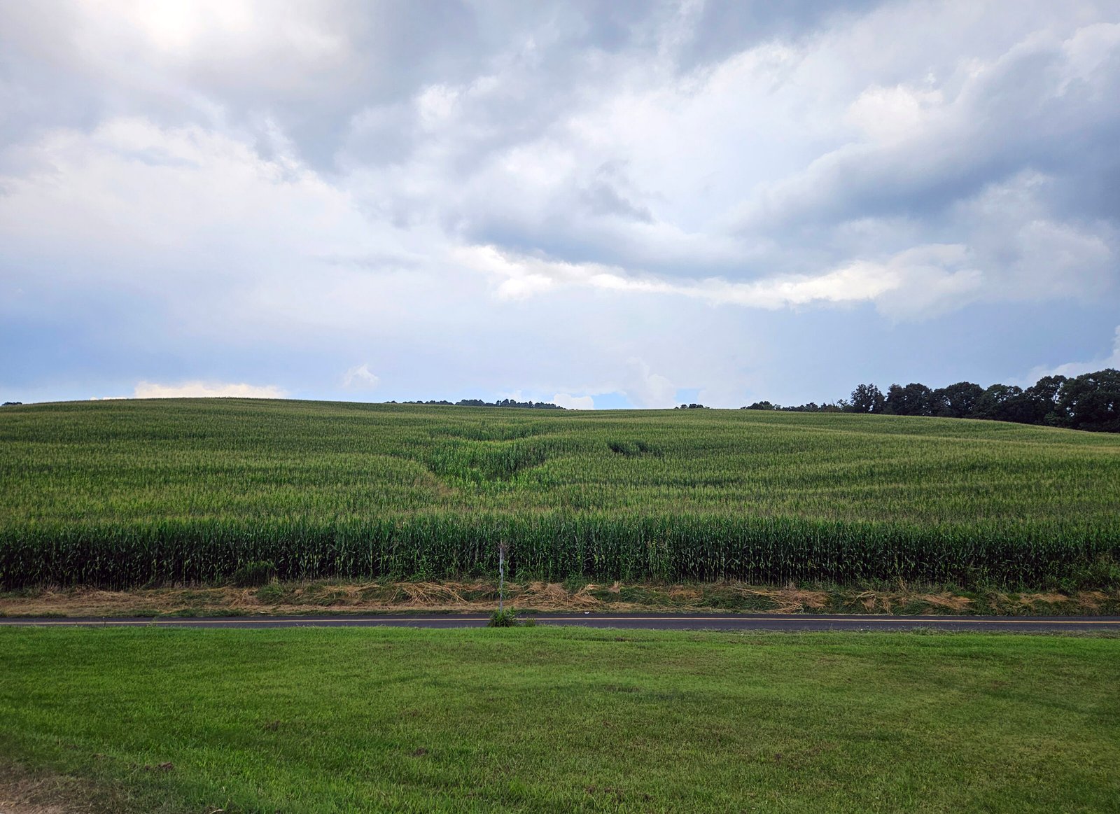 A field of corn. - TAEP Application Deadline