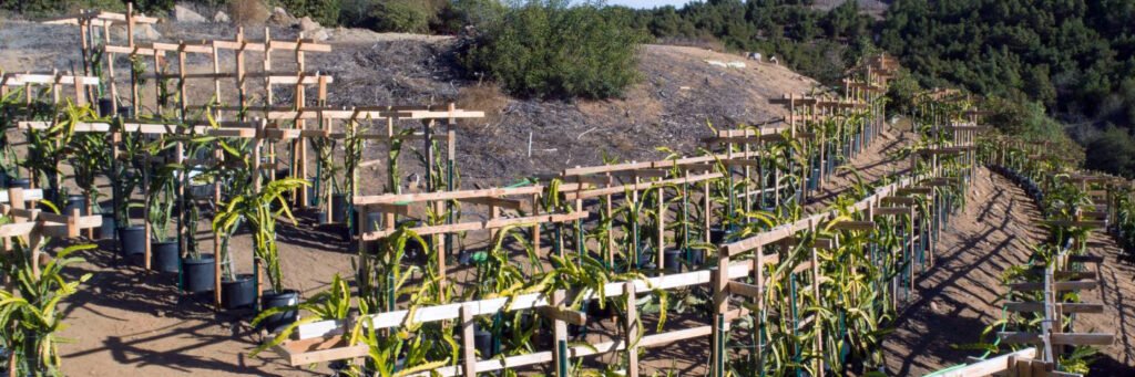 A project on a farm. Photo courtesy of the USDA - North Carolina NRCS FY2027 Conservation Funding Deadline