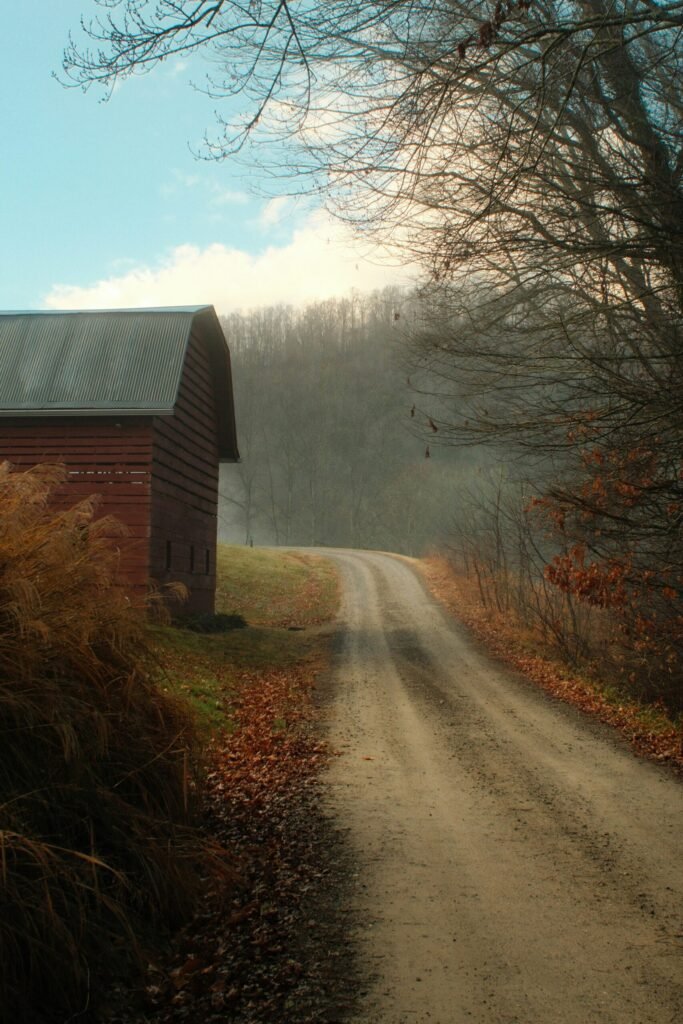 A barn in North Carolina on a fall day. - Photo by Geoffrey Busse