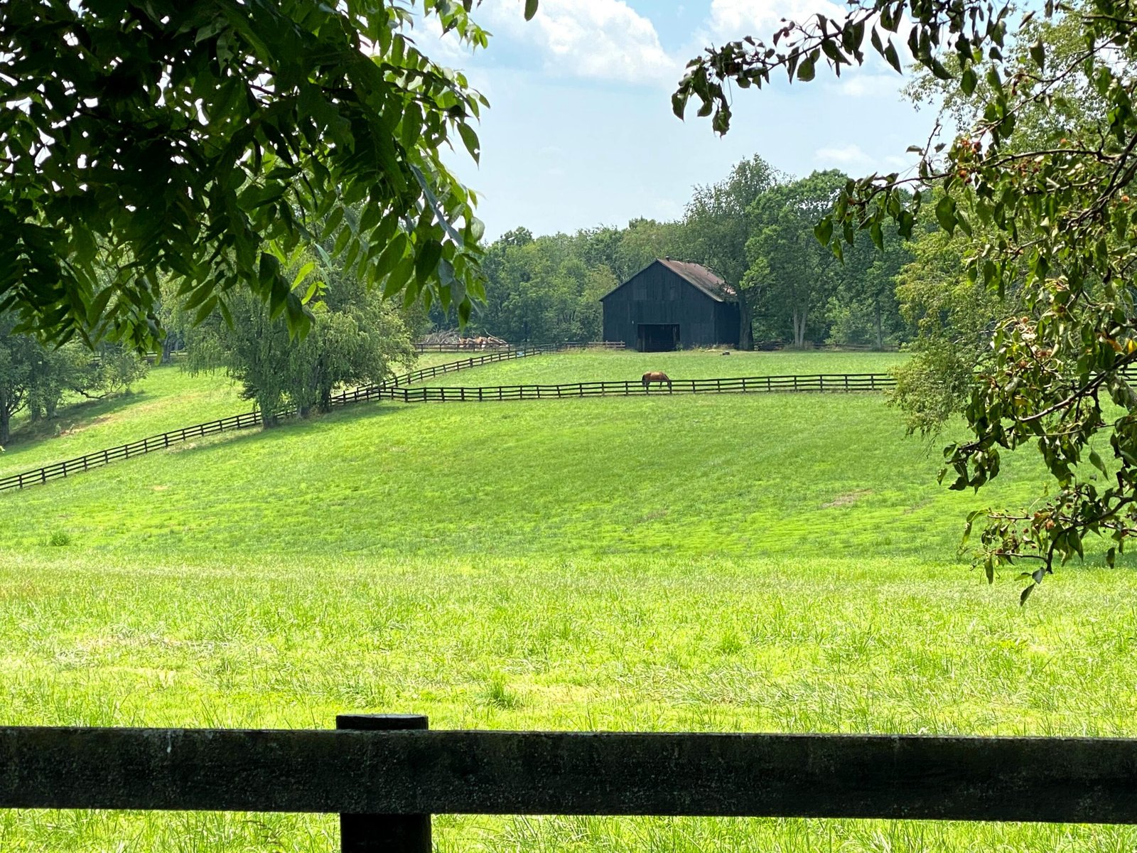A farm in Kentucky - Kentucky conservation funding