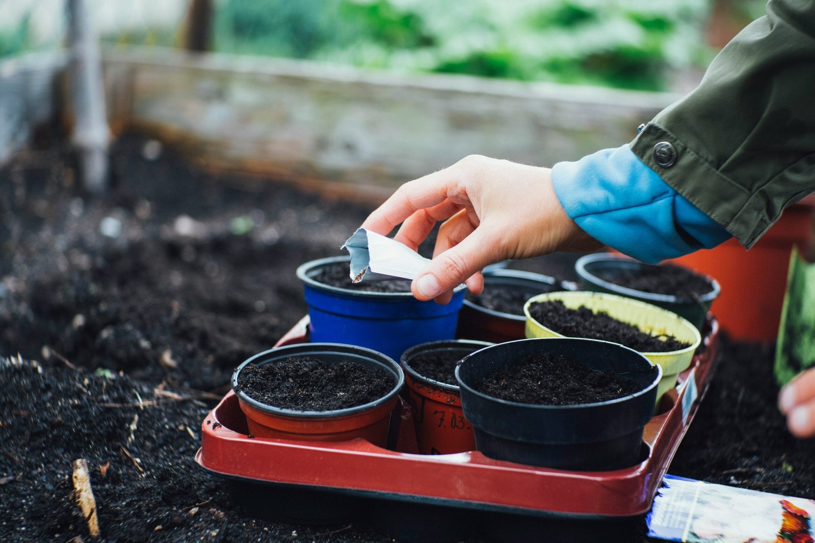 Person placing a seed into soil in a small pot on a gardening tray outdoors. Testing the soil. Photo by Markus Spiske. - Soil Test Results