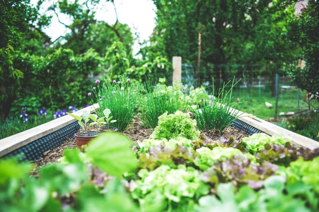 Herb Garden - Photo by Markus Spiske