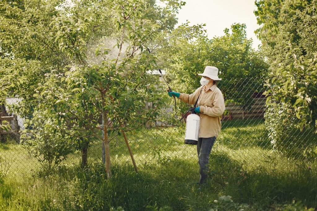 pexels-gustavo-fring-4894608 - Appalachian Highlands Farmers Magazine Gardener wearing a sun hat and mask spraying a tree with a handheld liquid sprayer beside a fence. Ag Safety Day