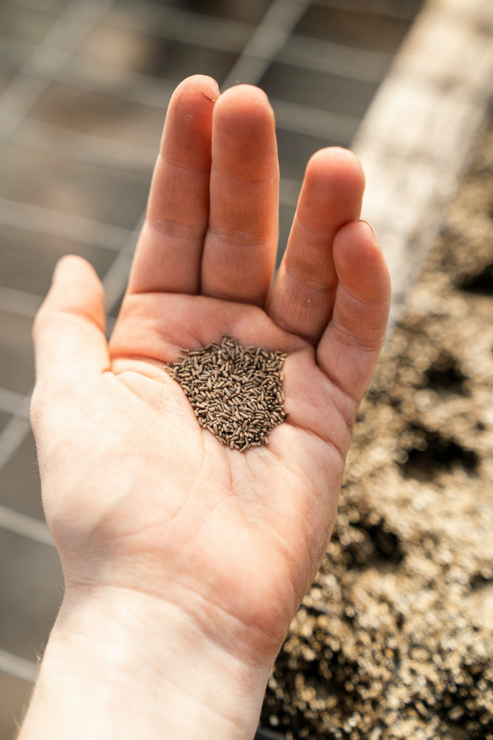 A hand full of seeds - Seed Farming 101