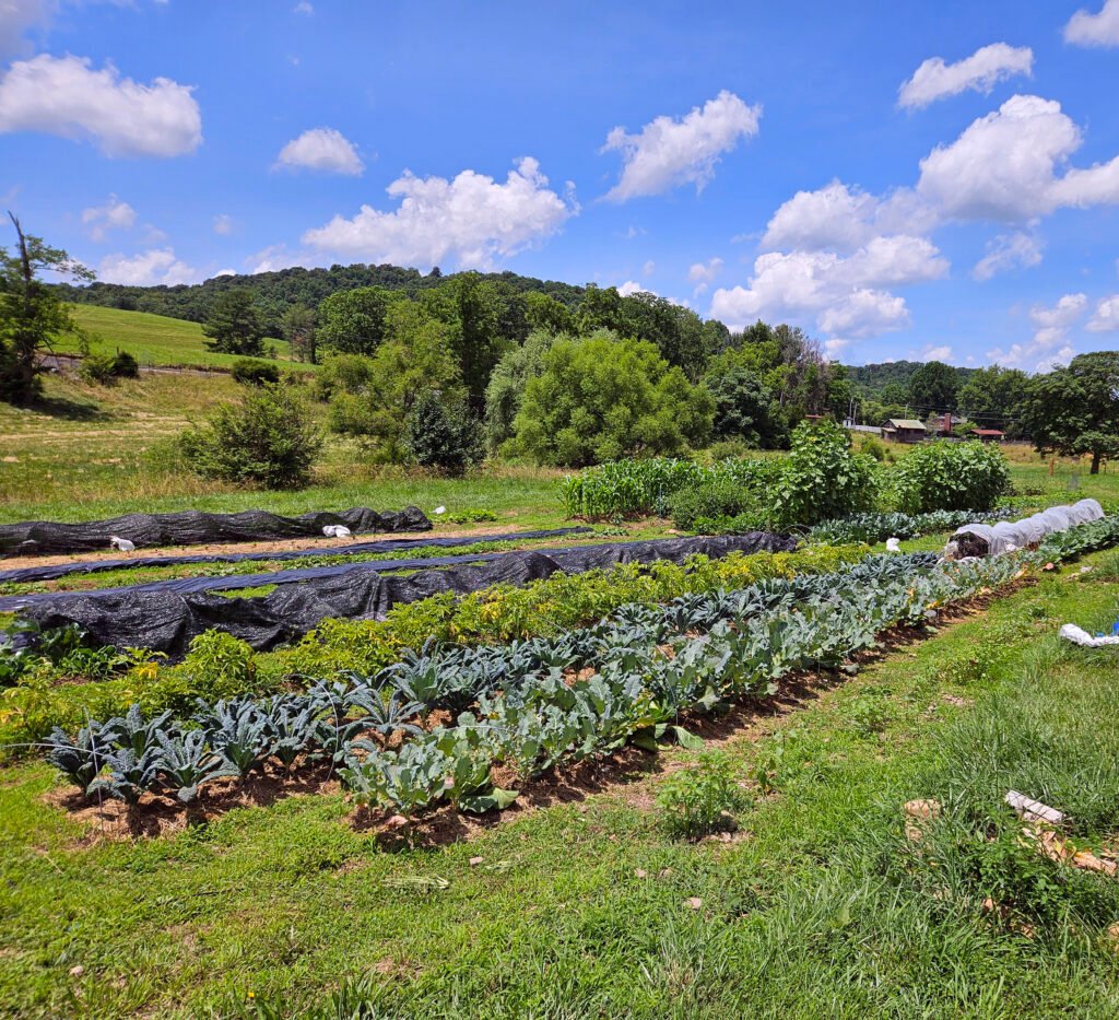20250621_132144 - Appalachian Highlands Farmers Magazine Spade and Spoon Farm - Slow Holiday Fundraiser
