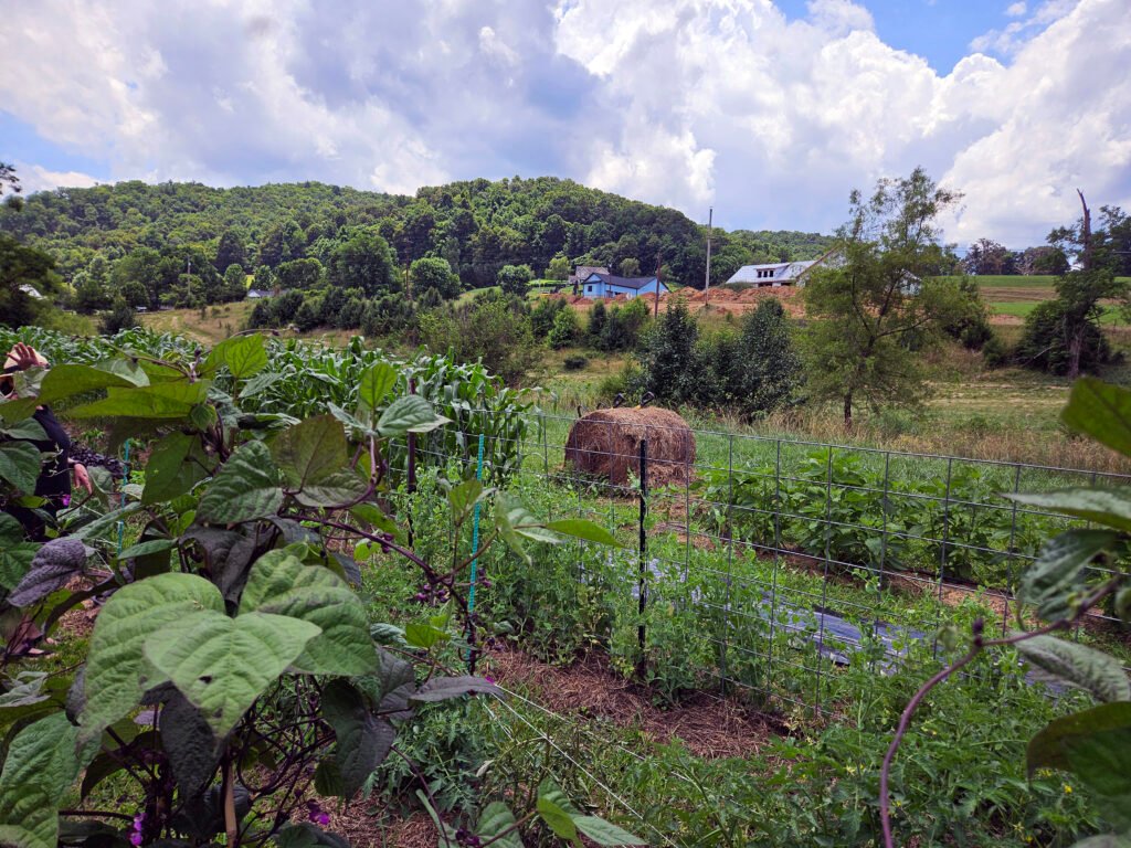 20250621_133352 - Appalachian Highlands Farmers Magazine A beautiful, Green Farm scene at the Spade and Spoon Farm