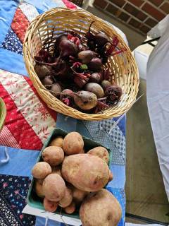 Potatoes and Beets