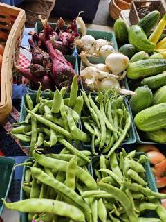 Green Beans