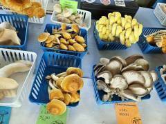 Mushrooms