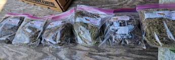 Dried Herbs