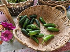 Jalapenos