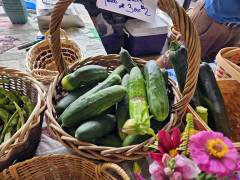 Cucumbers