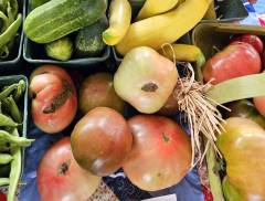 Veggies