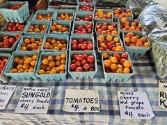 Tomatoes
