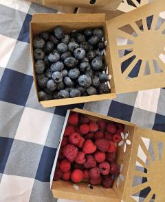 blueberries and raspberries